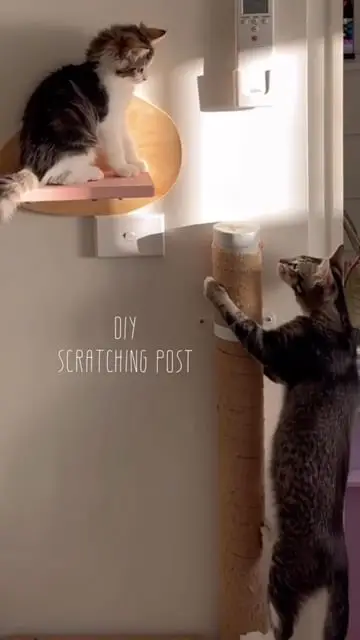 Instagram post thumbnail