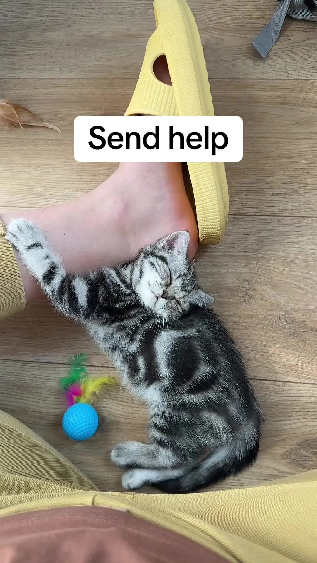 Tiktok post thumbnail
