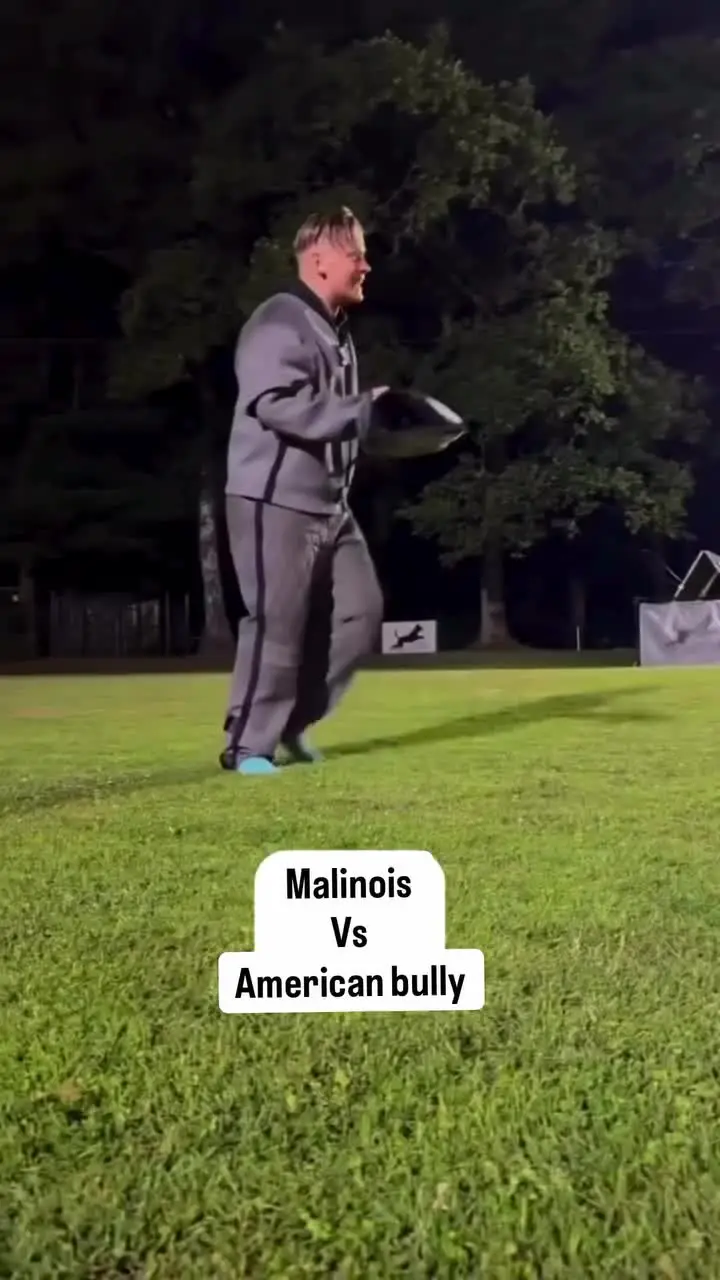 Tiktok post preview 3 from @chulpanfam