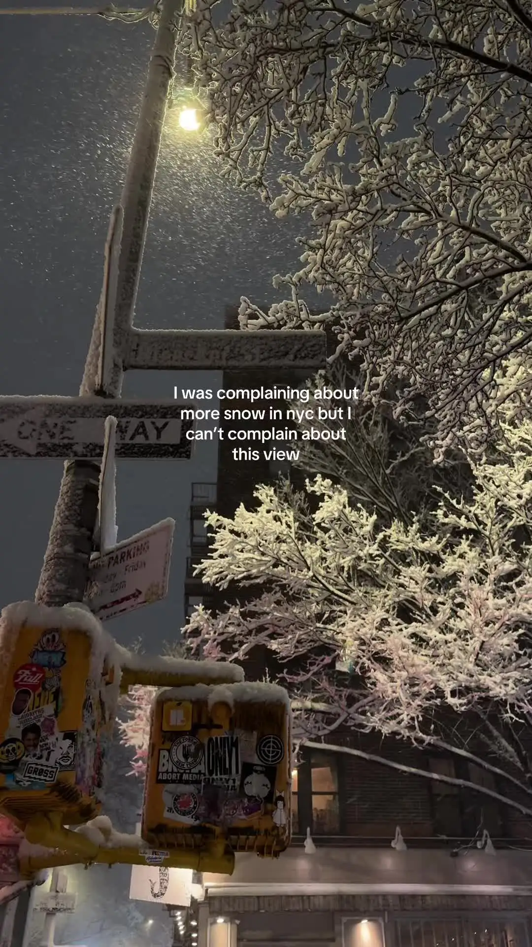 Tiktok post preview 2 from @bellamcdaniel_