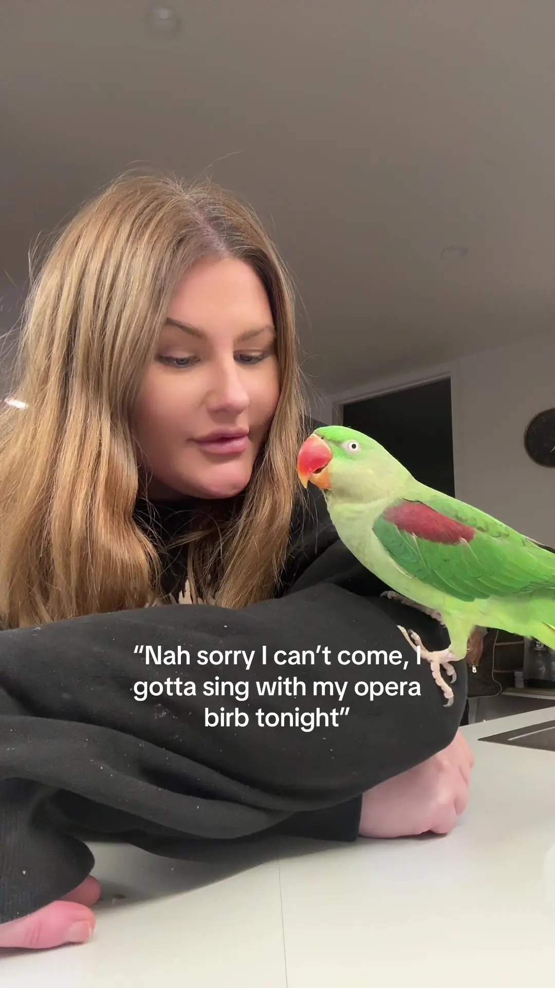 Tiktok post preview 2 from @rumi.the.ringneck