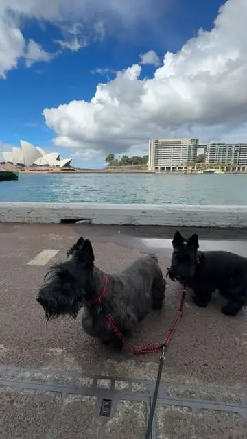 Instagram post thumbnail