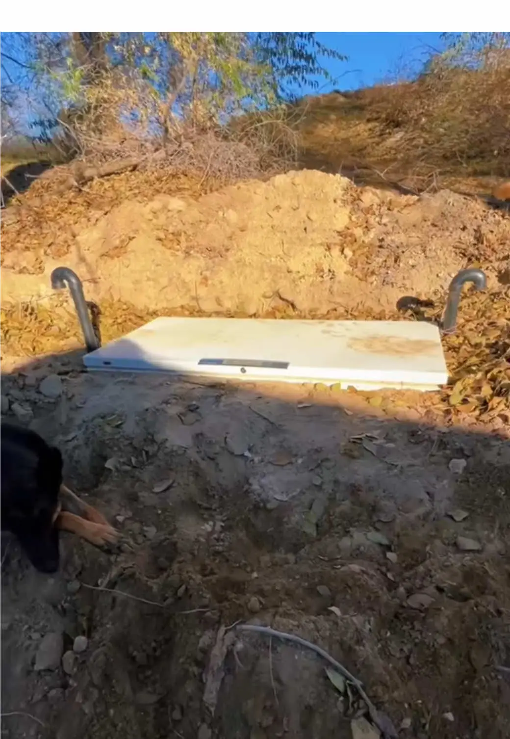 Tiktok post preview 2 from @theidahocowgirl
