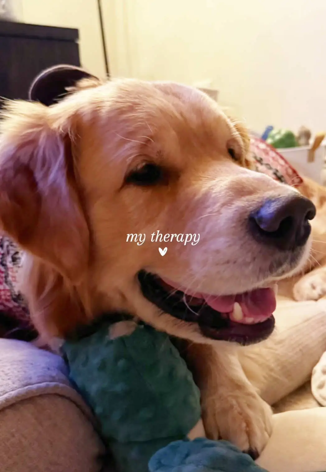 Tiktok post thumbnail