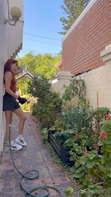 Instagram post thumbnail