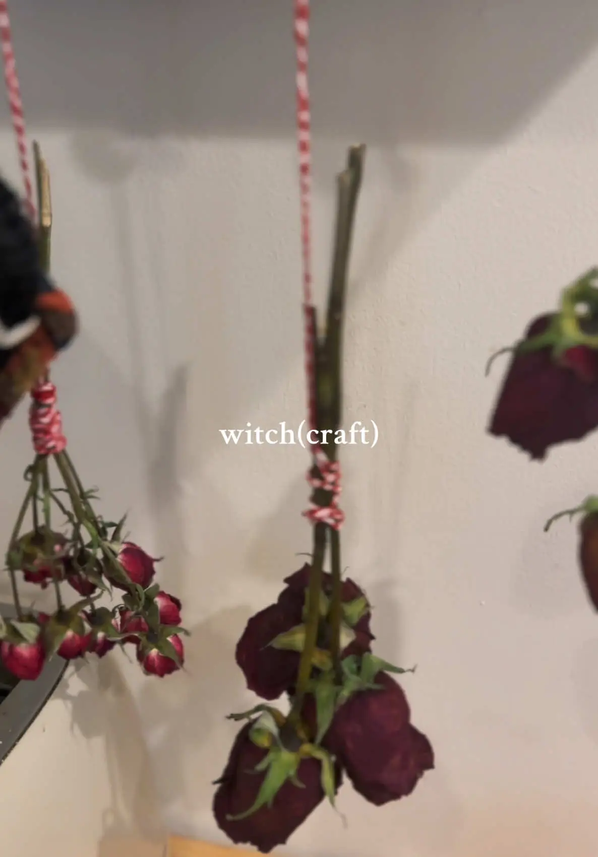 Tiktok post preview 3 from @lovechelseasusan