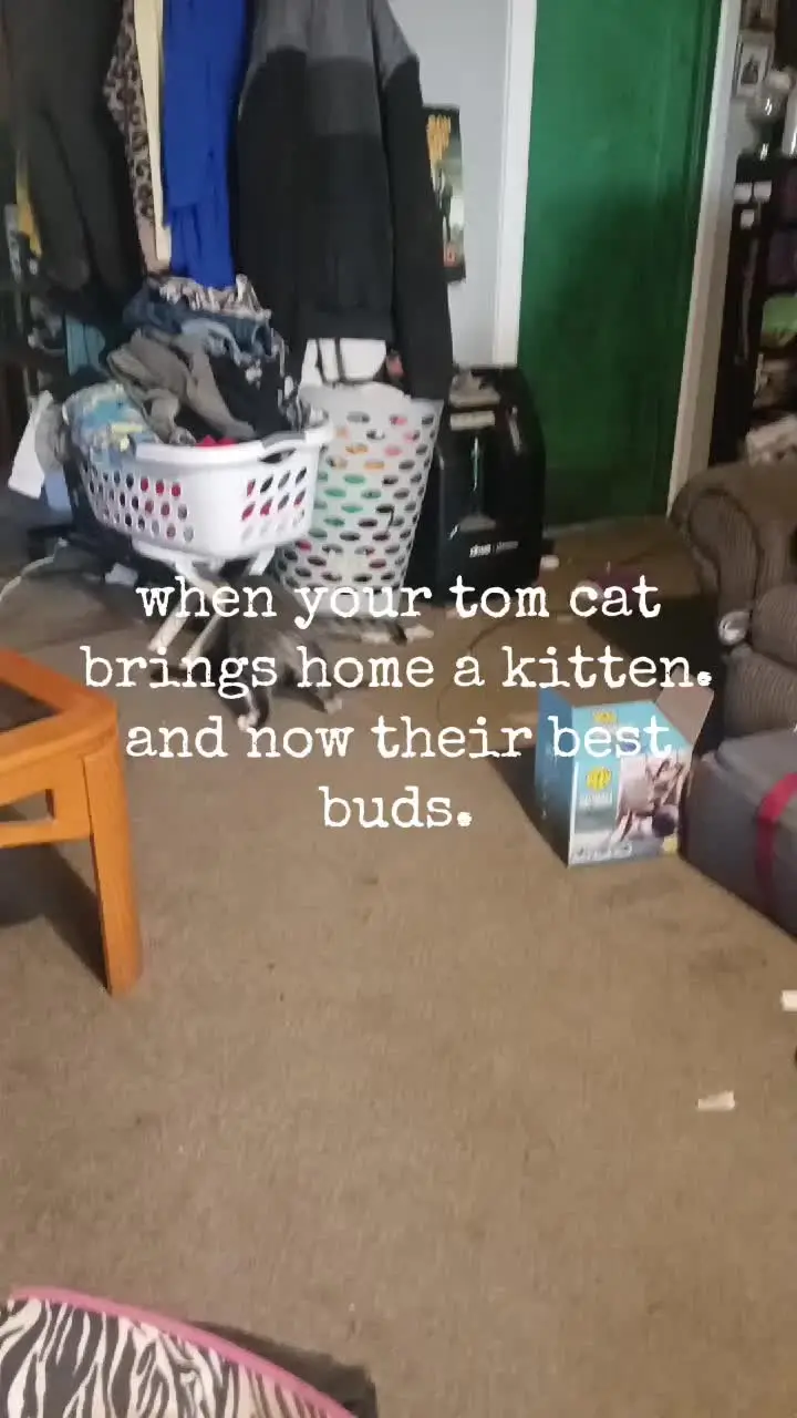 Tiktok post thumbnail