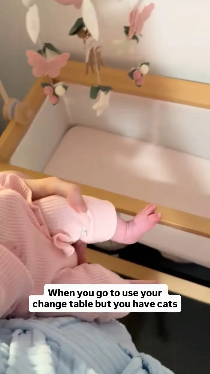 Instagram post preview 2 from gracieandbump