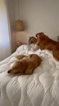 Instagram post thumbnail