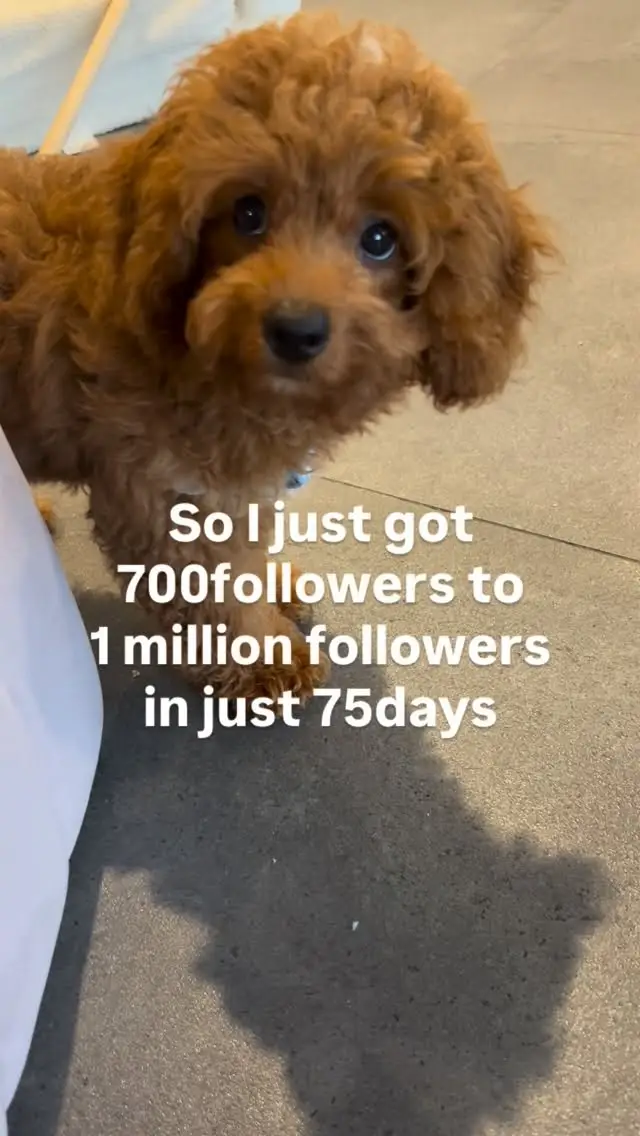 Instagram post thumbnail