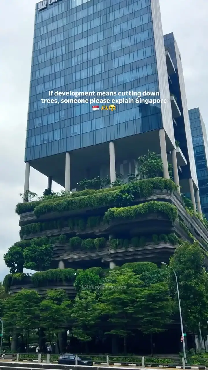 Instagram post thumbnail