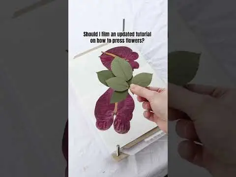 Youtube post preview 2 from UC8ky3uzCO2i_17BiGHSwdRA