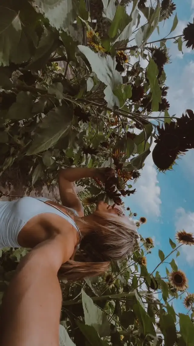 Instagram post preview 1 from neidenfeuhr317_