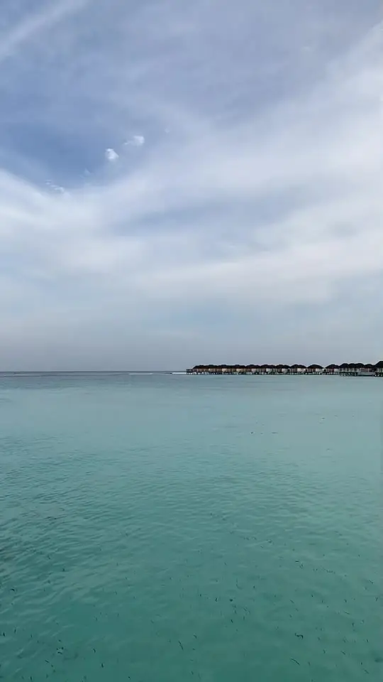 Tiktok post preview 3 from @camilapassiani