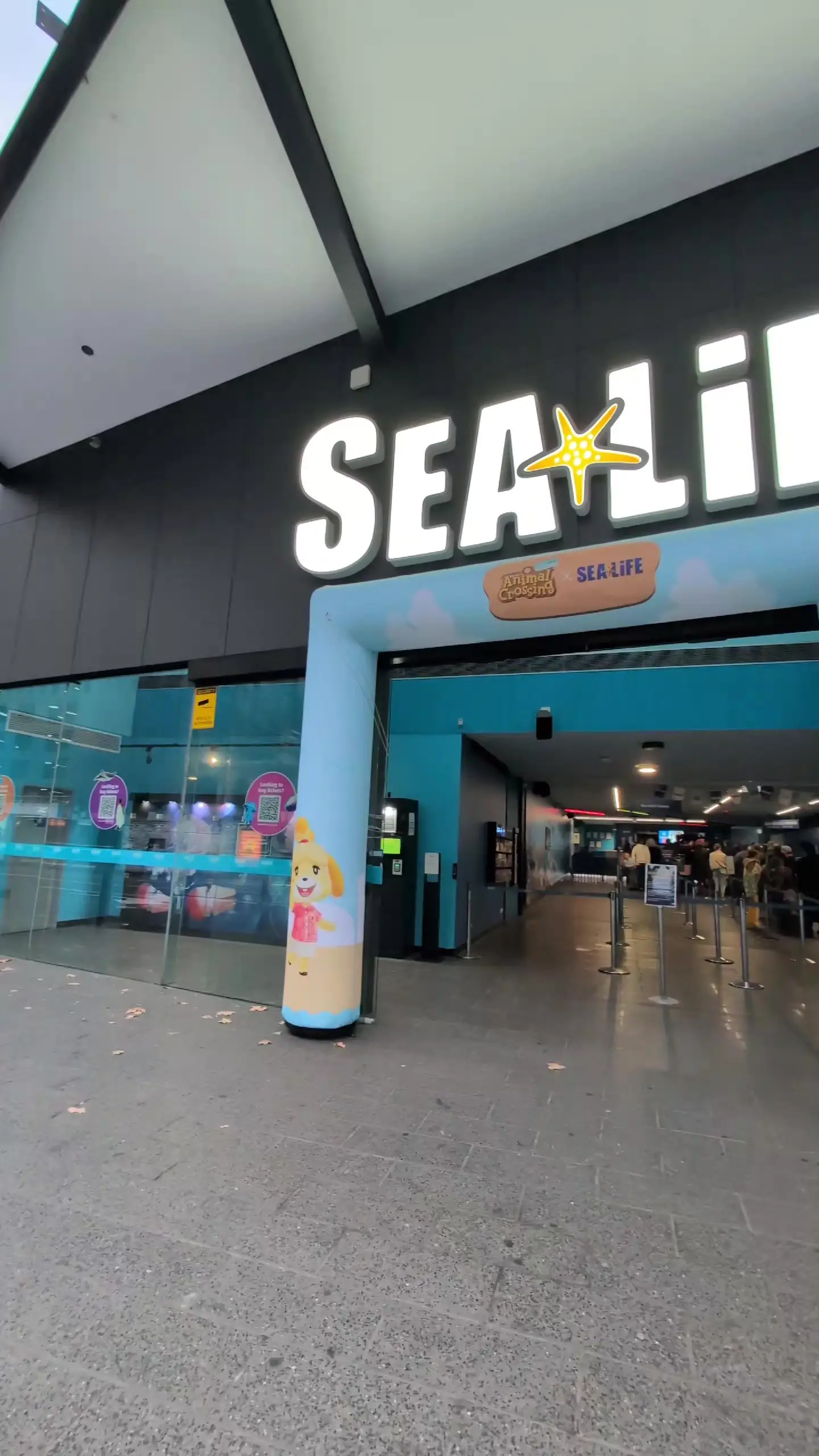 Tiktok post preview 3 from @sammy1cat