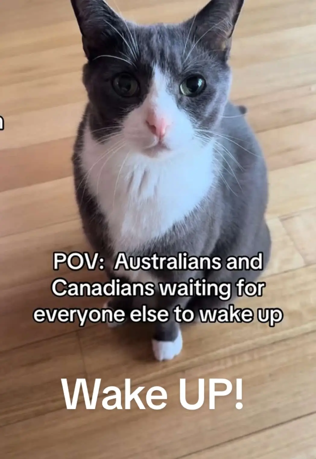 Tiktok post thumbnail