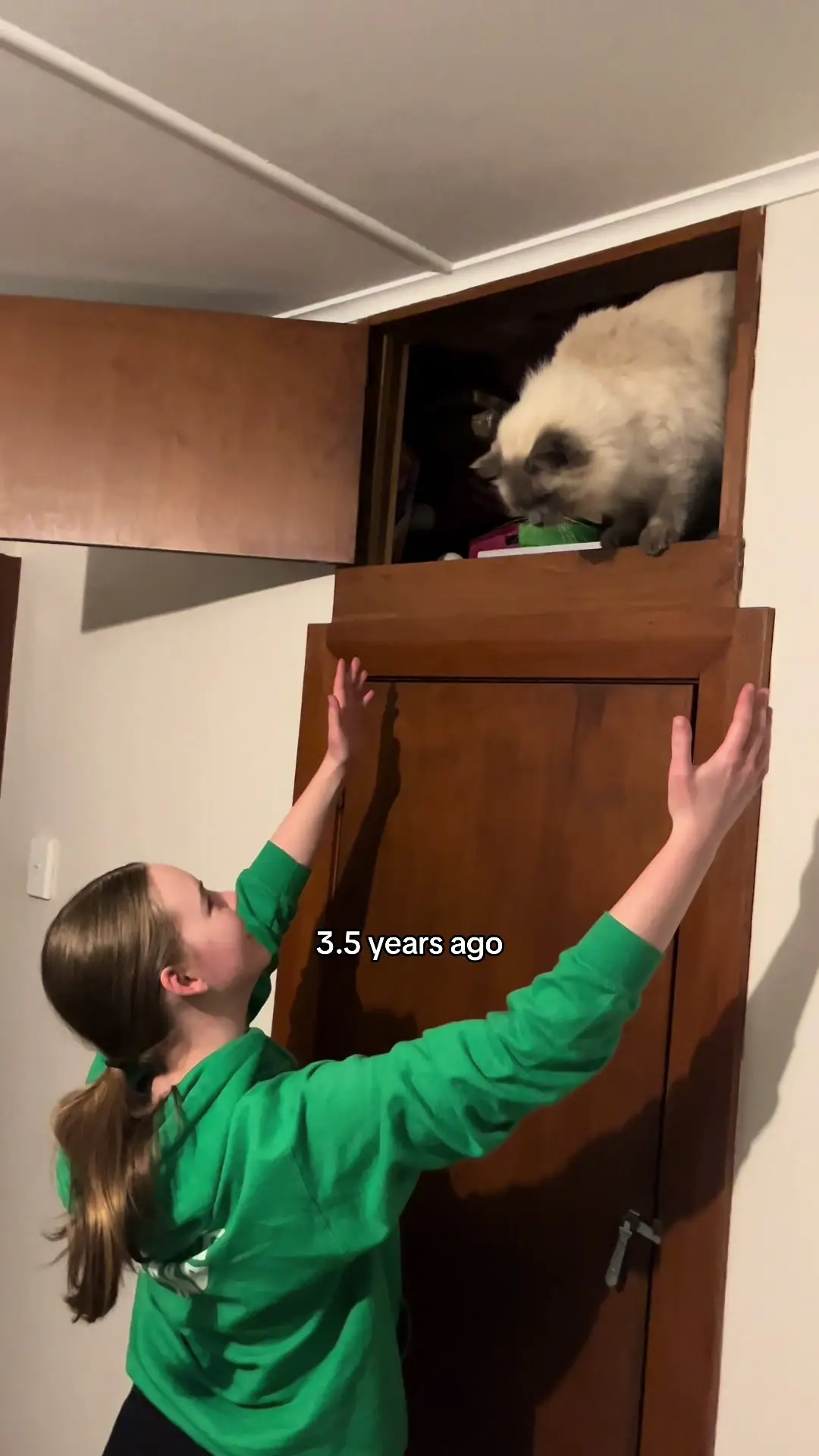 Tiktok post preview 1 from @maddiecomfort_