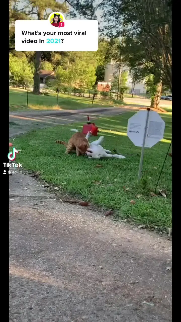 Tiktok post thumbnail
