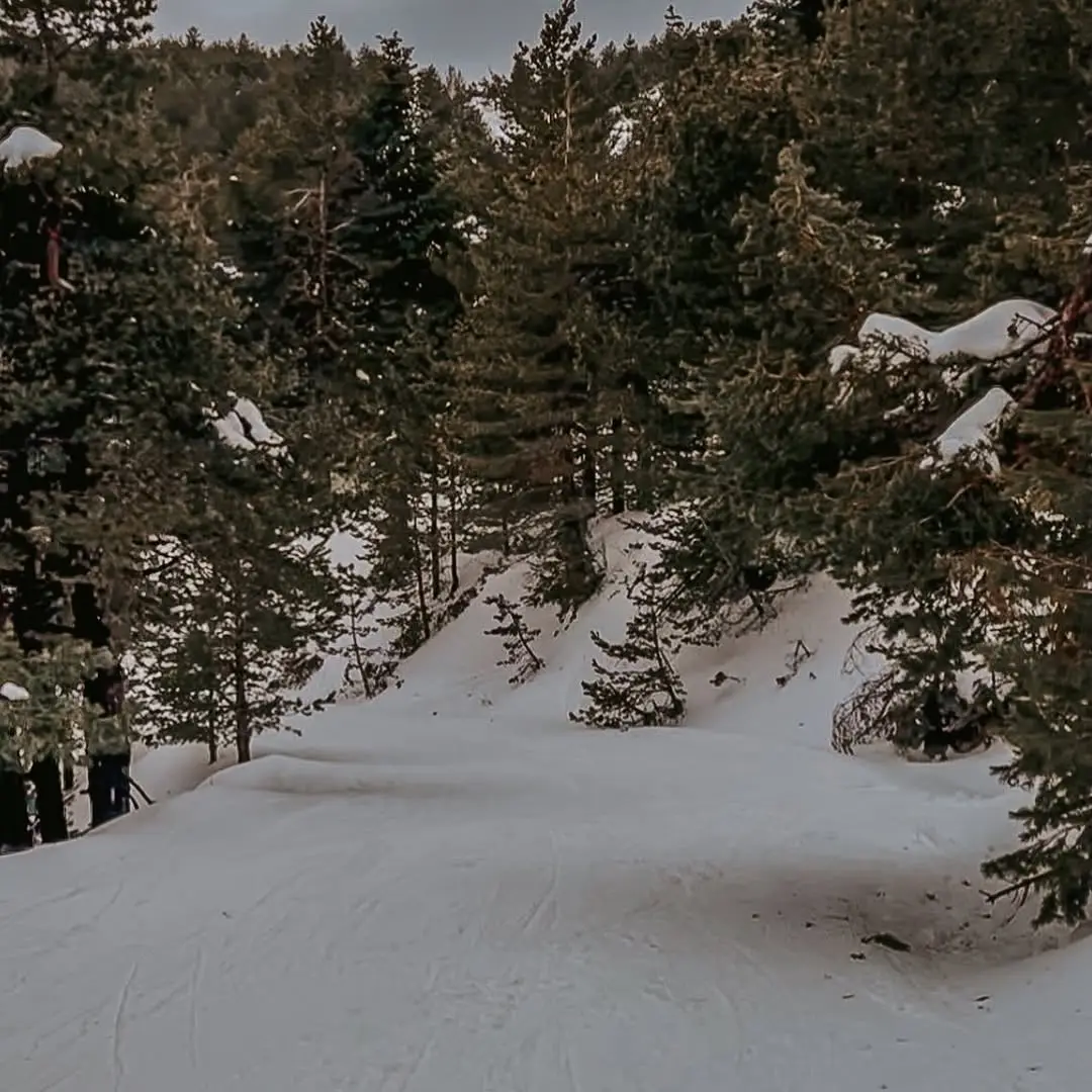 Instagram post thumbnail