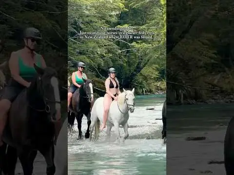 Youtube post preview 3 from UCIPAMGRxYAx_CuSZtLlakKQ