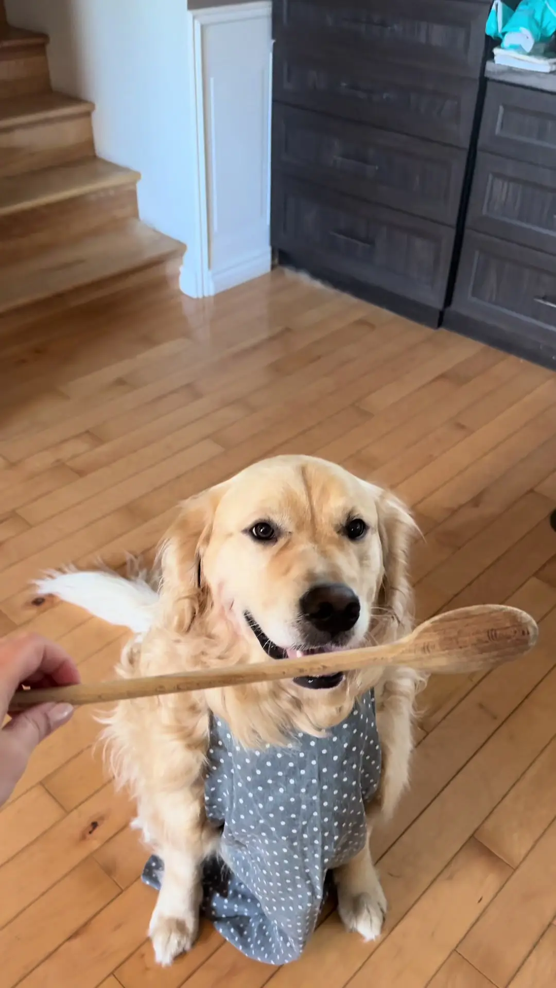 Tiktok post thumbnail