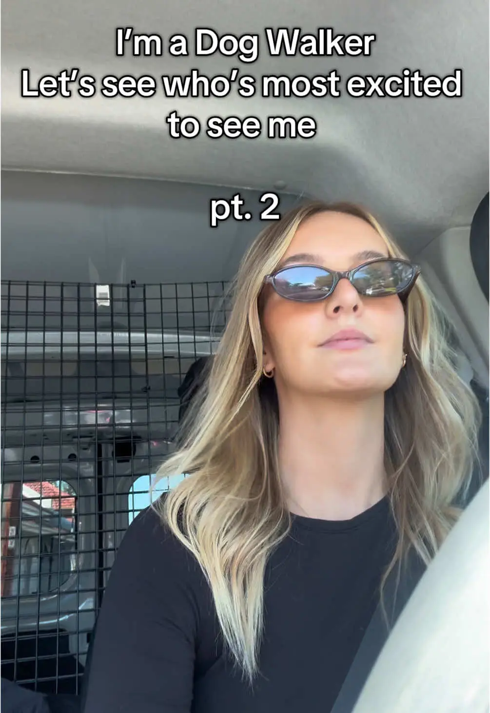 Tiktok post preview 3 from @souldogssydney