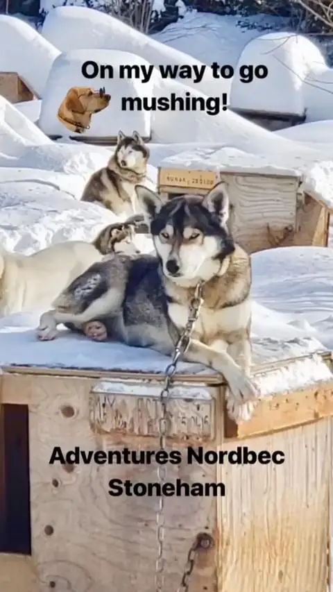 Instagram post thumbnail