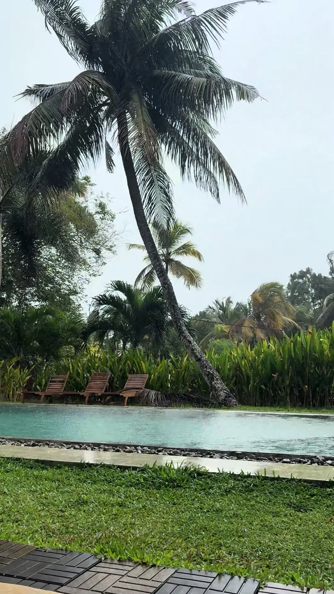 Tiktok post preview 3 from @romane.dsh