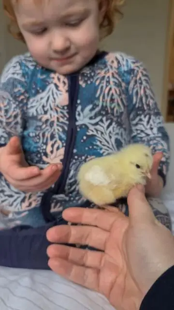 Instagram post thumbnail