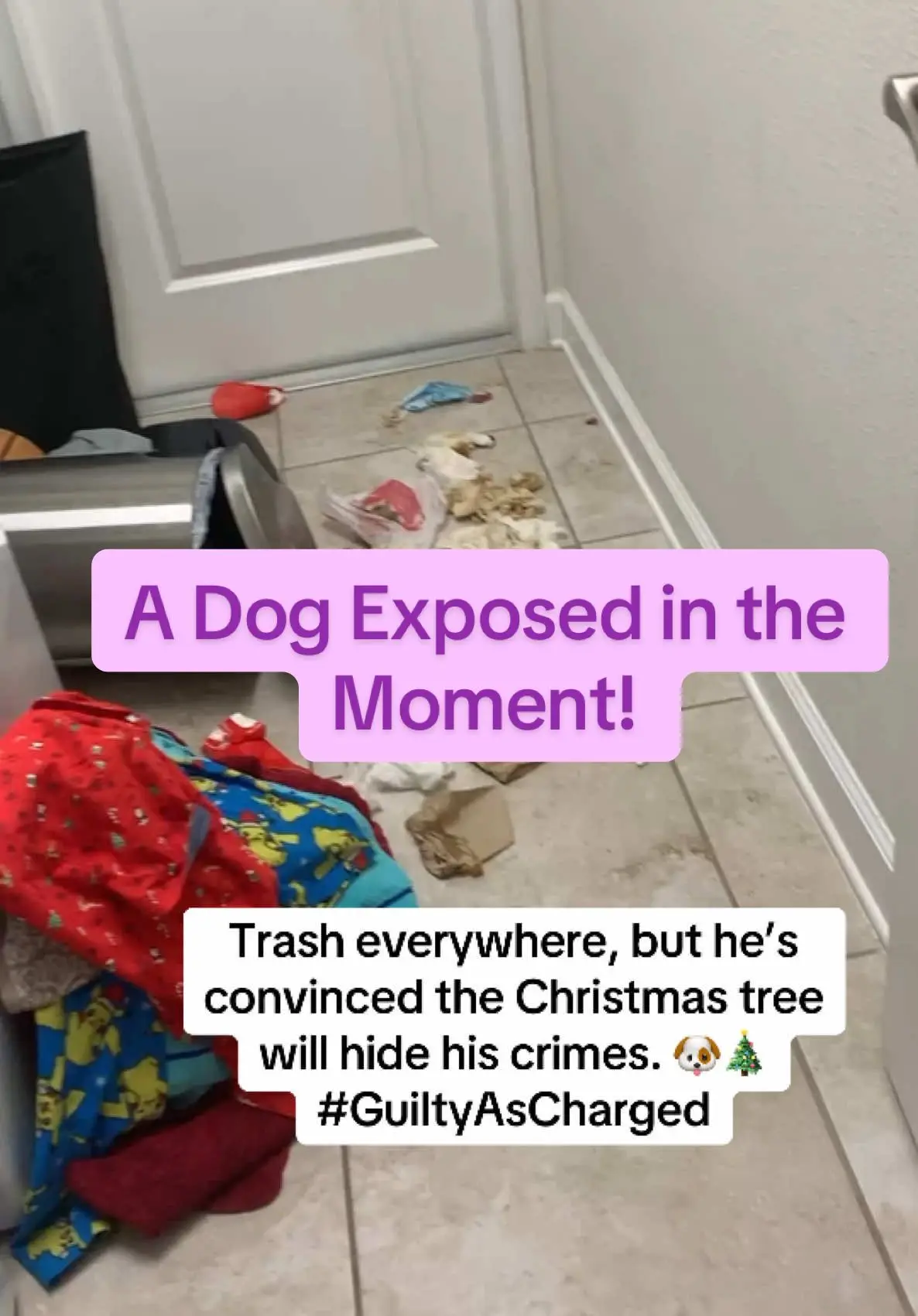 Tiktok post thumbnail