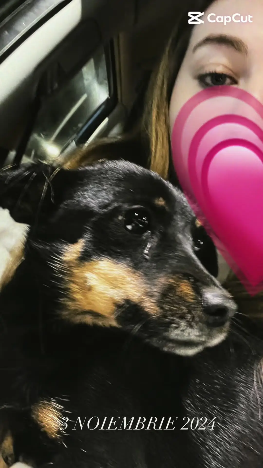 Tiktok post preview 2 from @steodoraaa7