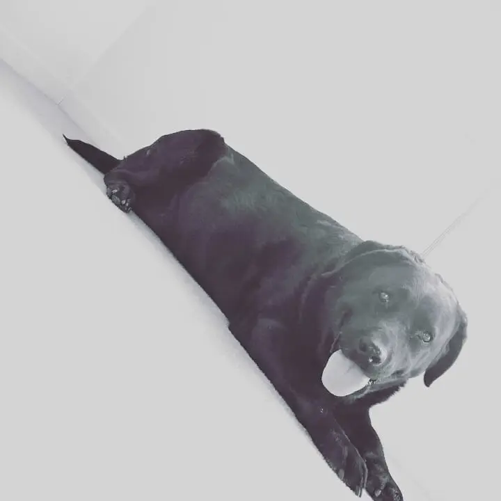 Instagram post preview 3 from ebony.sleeth