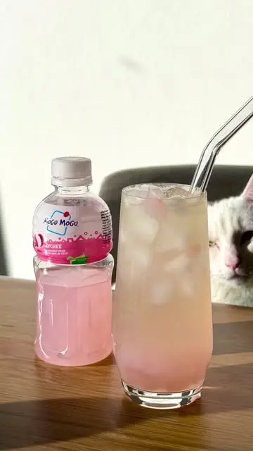 Instagram post preview 1 from eateatyeet