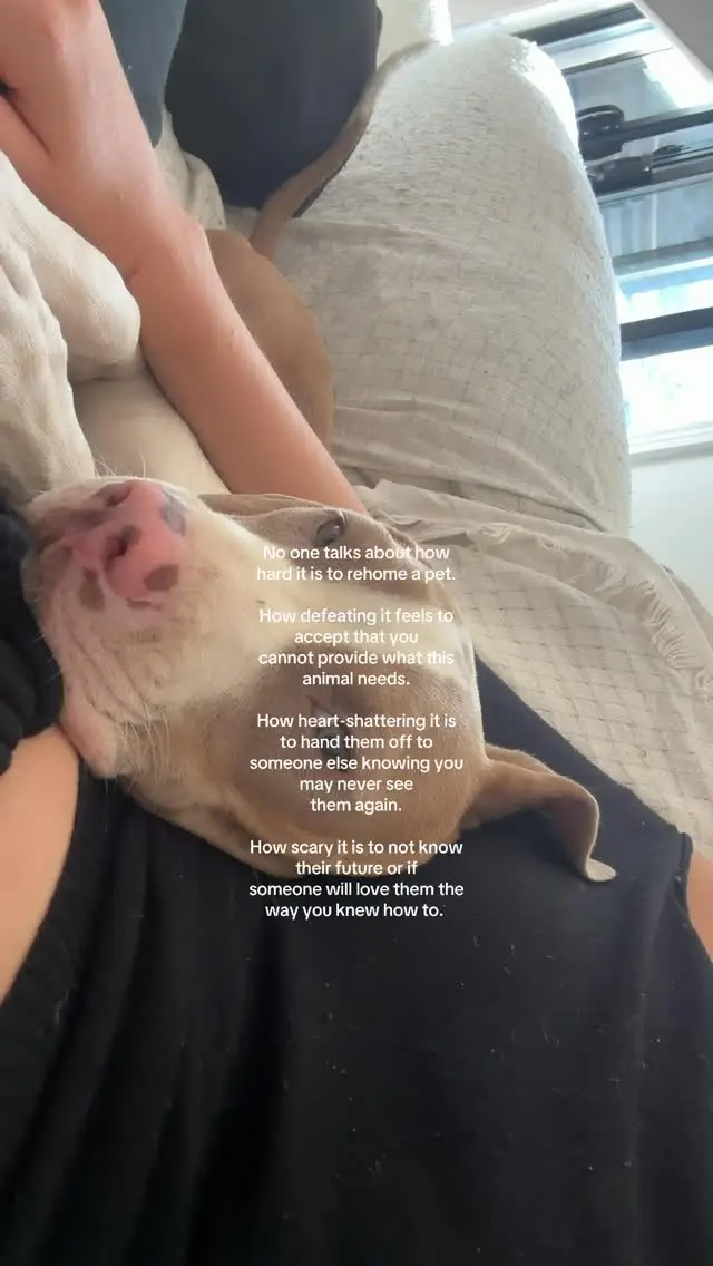 Instagram post preview 3 from graceee.johnsonn