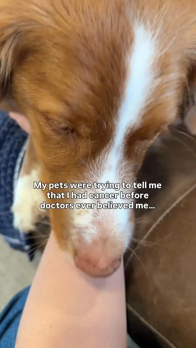 Instagram post preview 3 from whiskeytoller