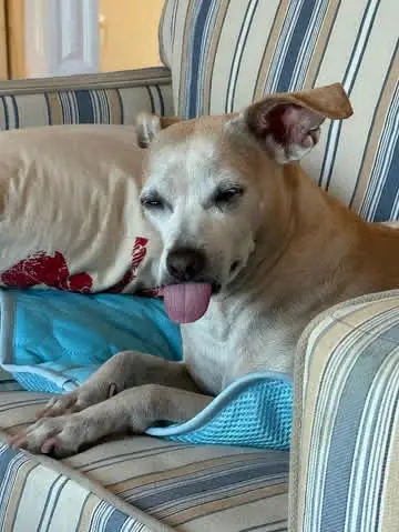 Instagram post thumbnail