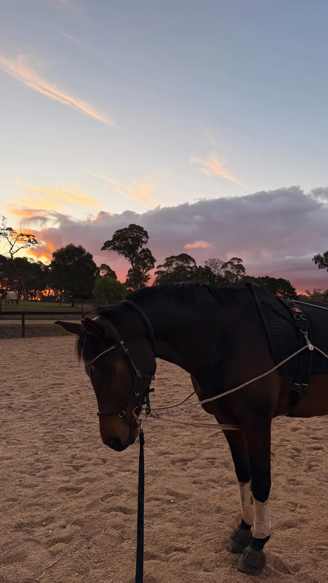 Instagram post preview 3 from nataliestephen_eq