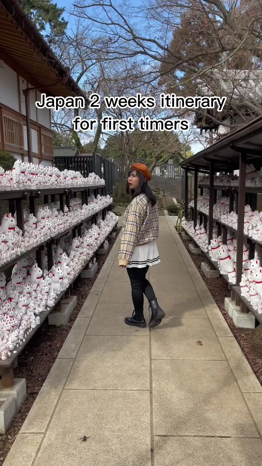 Tiktok post preview 3 from @tikandhini