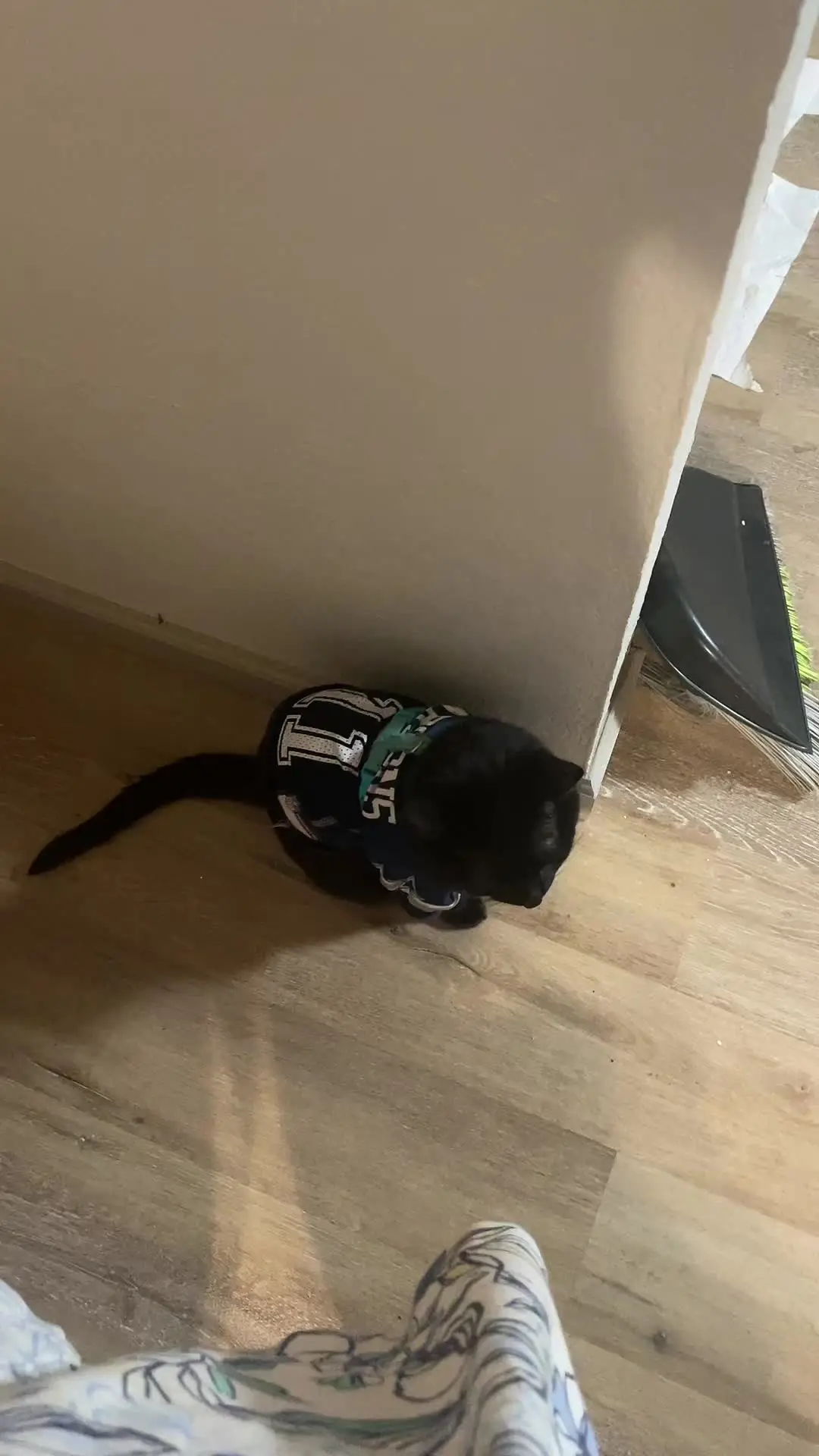 Tiktok post thumbnail