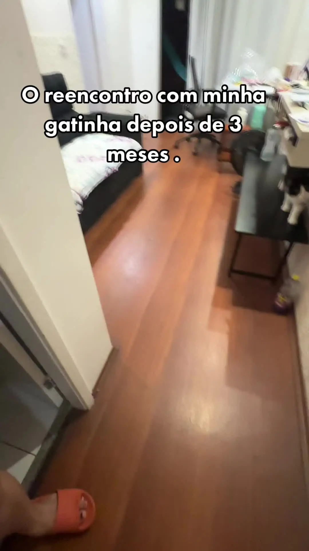 Tiktok post preview 3 from @brendapanntoja