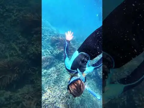 Youtube post preview 3 from UC__D8YZkAfdwhL5-3mXgxig