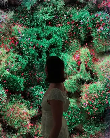 Instagram post thumbnail