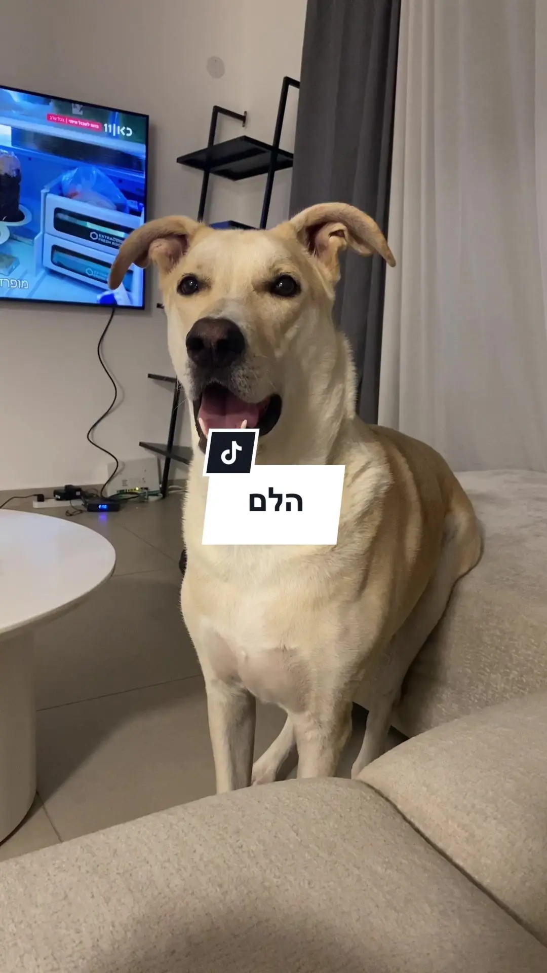 Tiktok post thumbnail