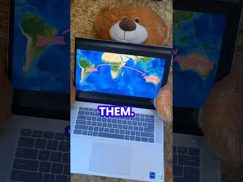 Youtube post preview 2 from UCl9m8F4pUEg5h4tQbC4emIQ