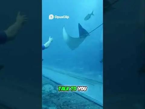 Youtube post preview 3 from UCJYTEqWKuJIAbAsaET4daEg