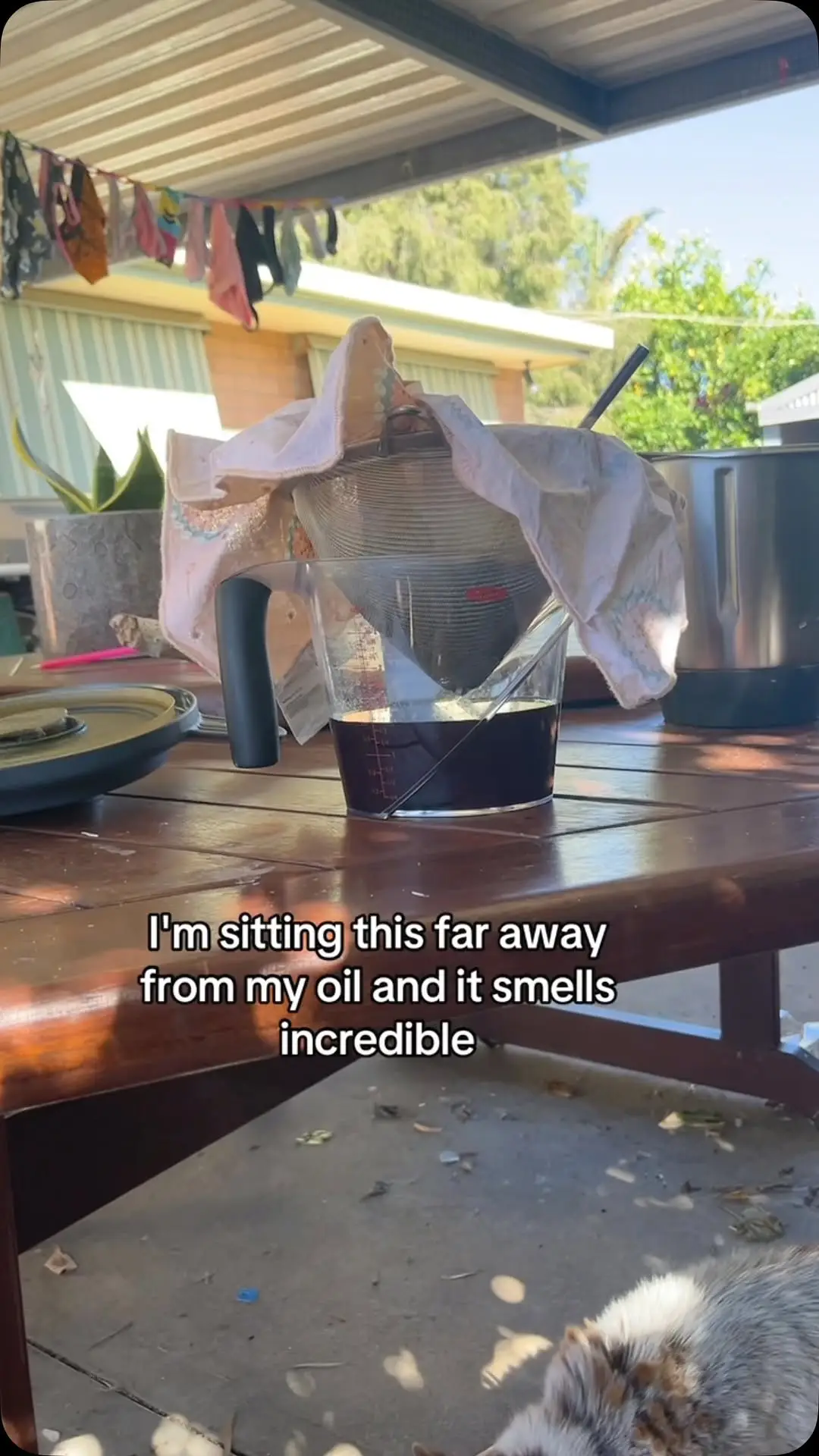 Instagram post preview 2 from nourishing__women
