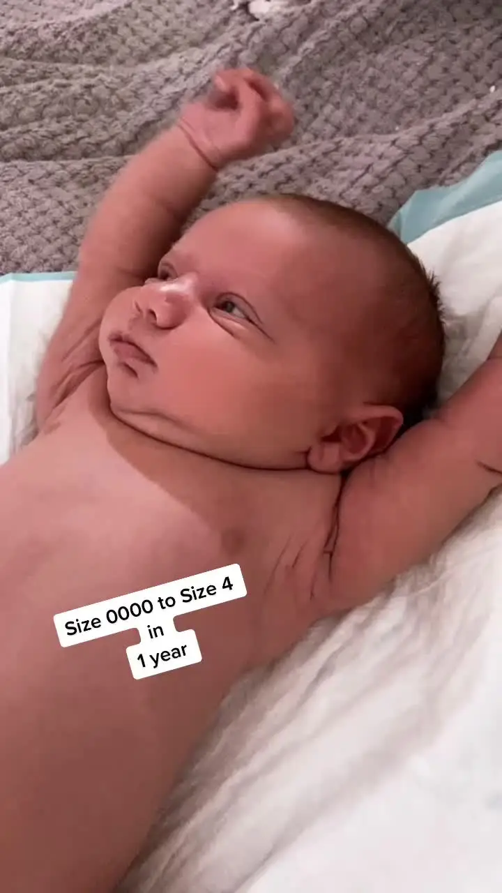 Tiktok post preview 3 from @thejaydeuniverse
