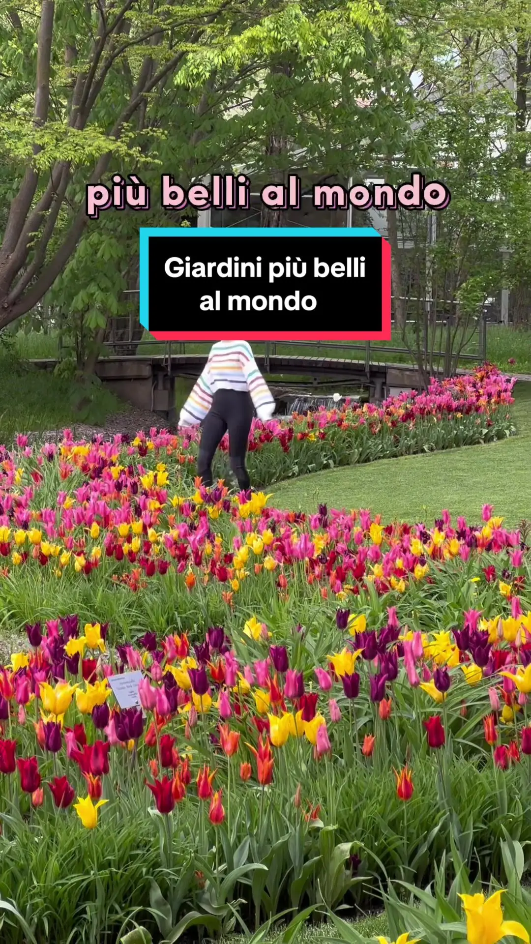 Tiktok post preview 3 from @lostandfoundtravelling