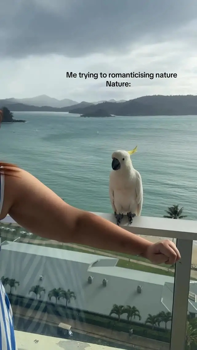 Instagram post preview 2 from itskobyyy