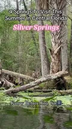 Instagram post preview 3 from lindsey_hawkins18